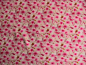 Preview: Viskose-Jersey Blümchen weiß-pink (992129)