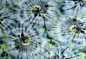 Preview: Viskose-Jersey Batik (992132)