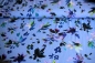Preview: Viskose-Jersey Blumen hellblau (992135)