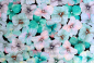 Preview: Softshell-Fleece Blumen mint (992140)
