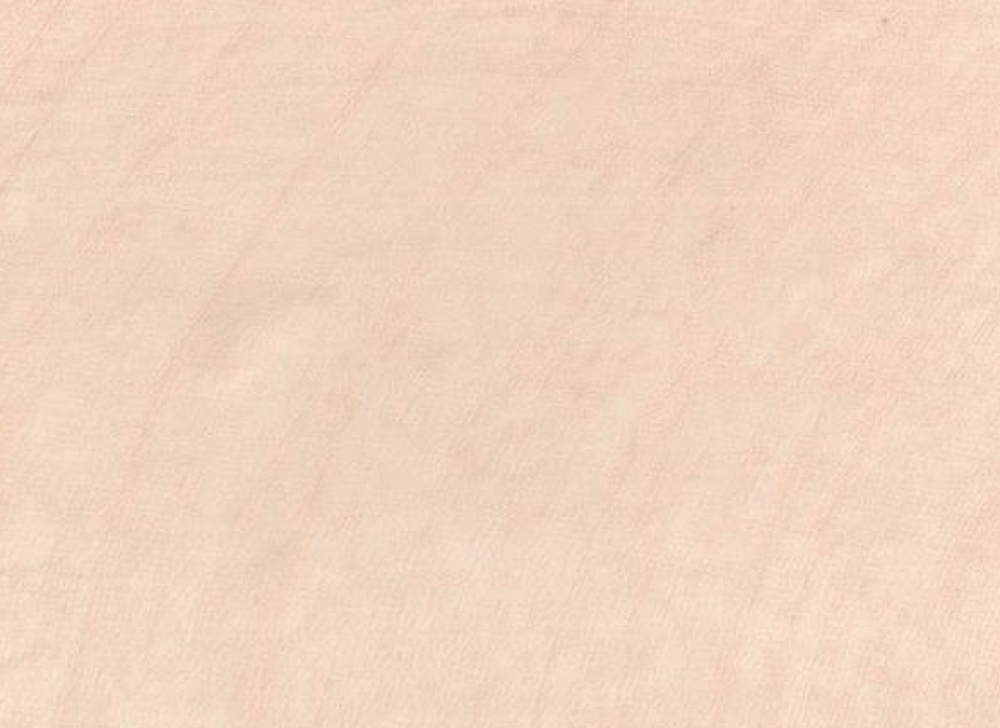 Crepe Georgette (990155)