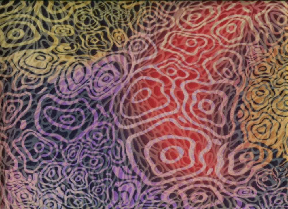 Leichtes Doppelgewebe (990929)