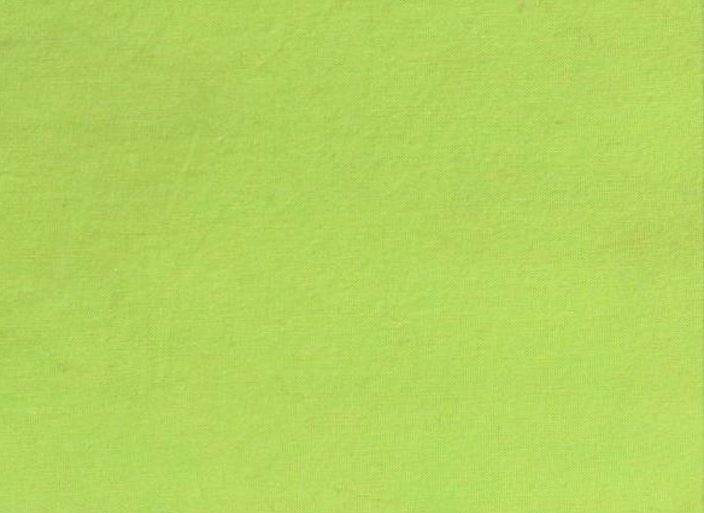 Jersey kiwi (991732)